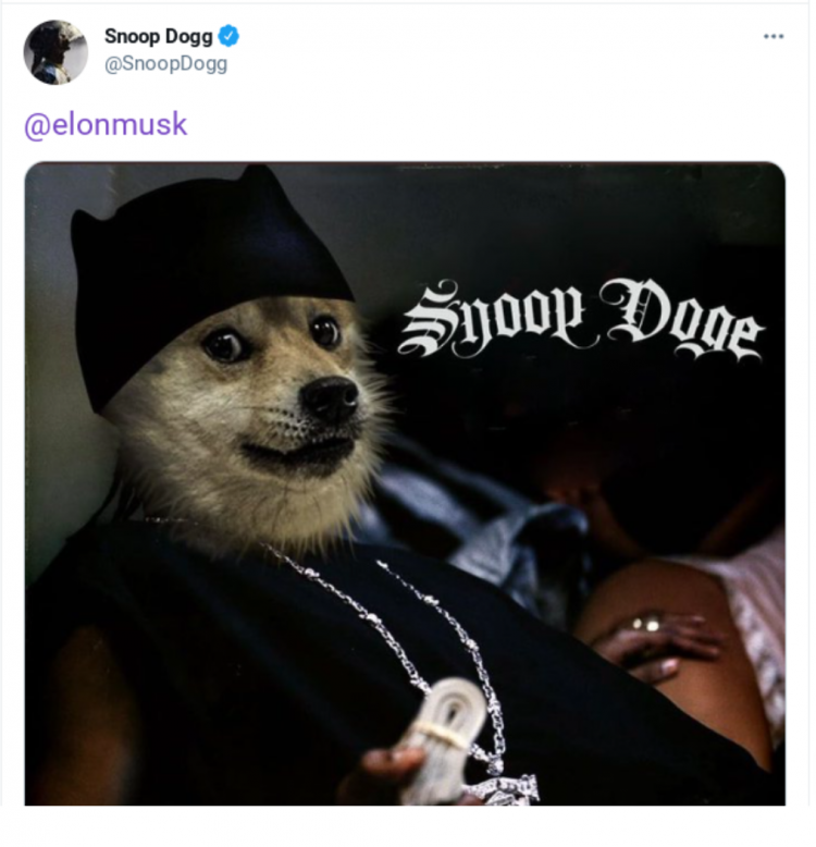 Dogecoin im ALlzeithoch - Snoop Dogg und Elon Musk lieben die Spasswährung.