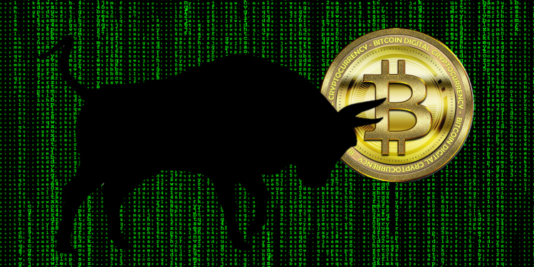 Bull Market Bitcoin