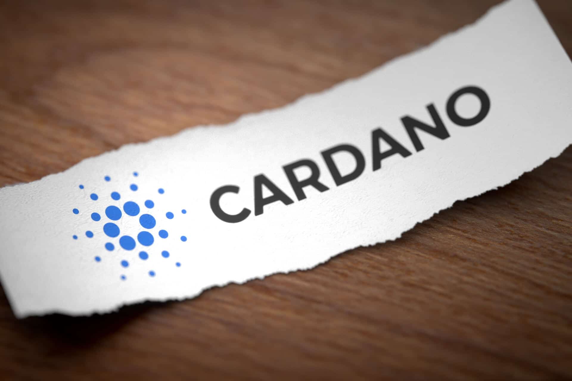 Cardano: Smart Contracts Loom