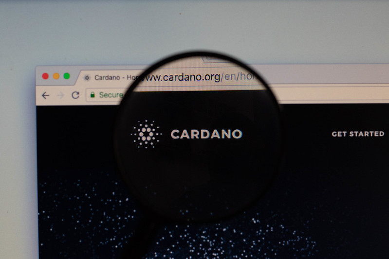 Cardano Pumps $100M Into DeFi Projects