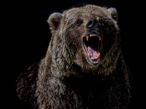 Bear markets are scary but they also offer opportunities to buy great projects at low prices. Image: Mana 5280 / Unsplash