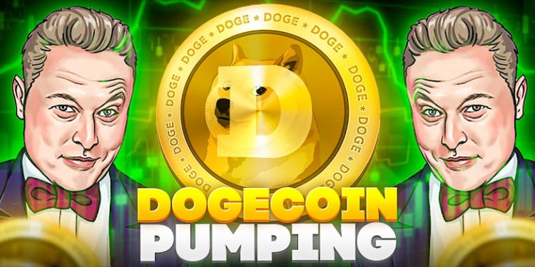 dogecoin pumping