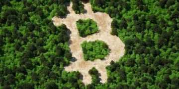 Bitcoin price chart turns green(ish)
