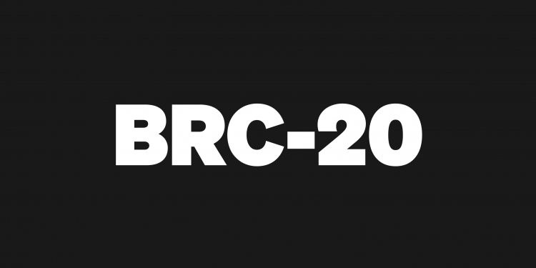 BRC-20 Tokens