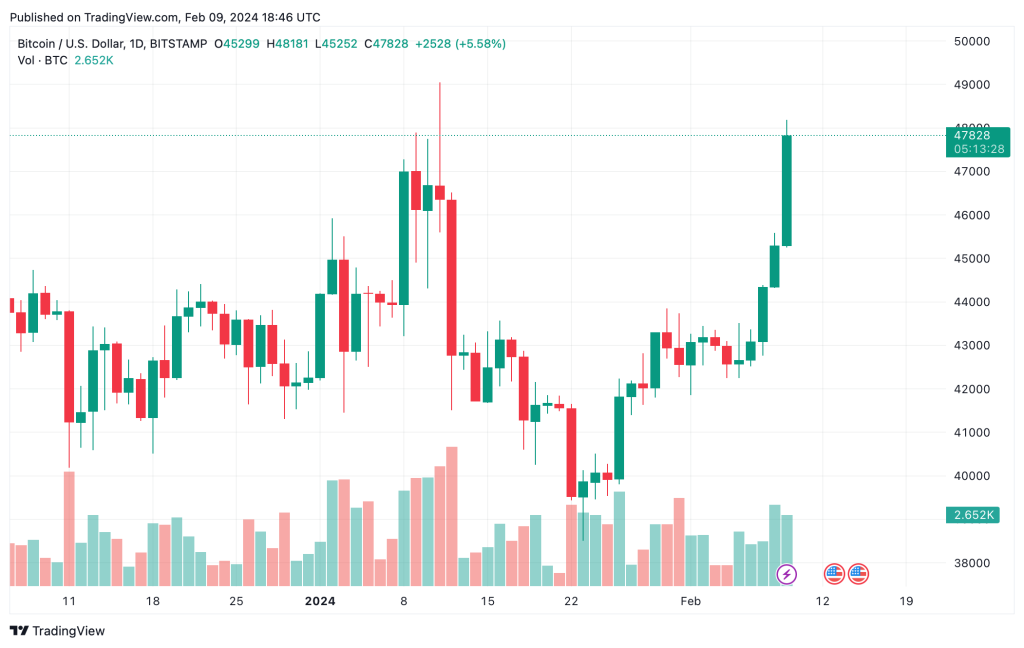 Bitcoin Price Chart 09.02.2024