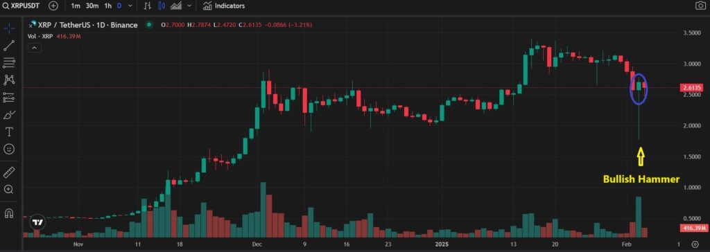 What Drives XRP Price Volatility? Overview