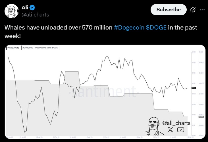 Dogecoin Whale Dumps