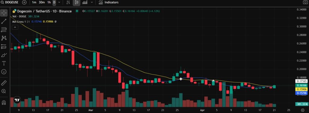 Dogecoin to USDT