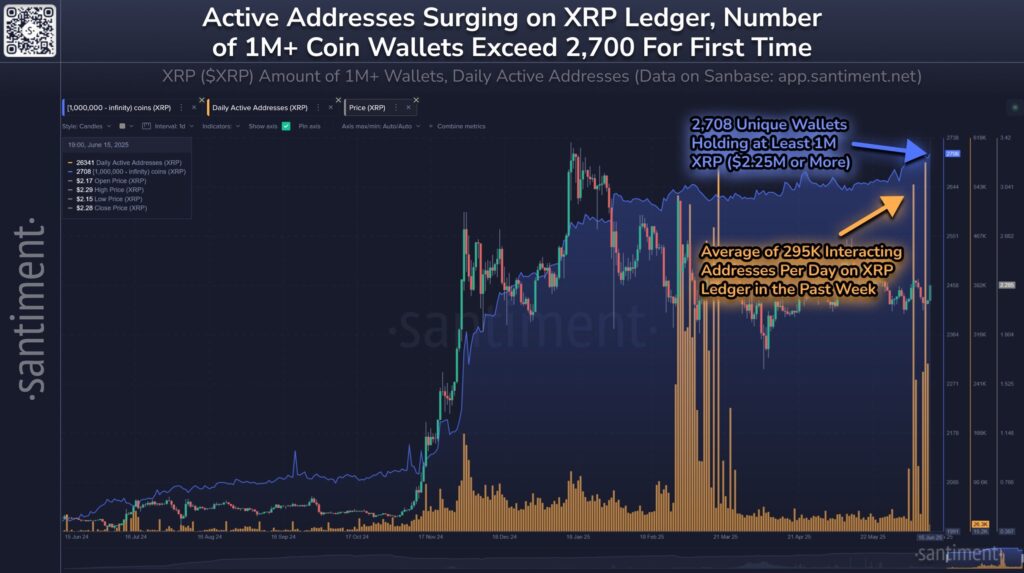 XRP Whales