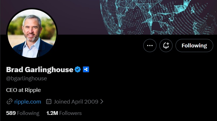 Ripple CEO Brad Garlinghouse 589 Reference