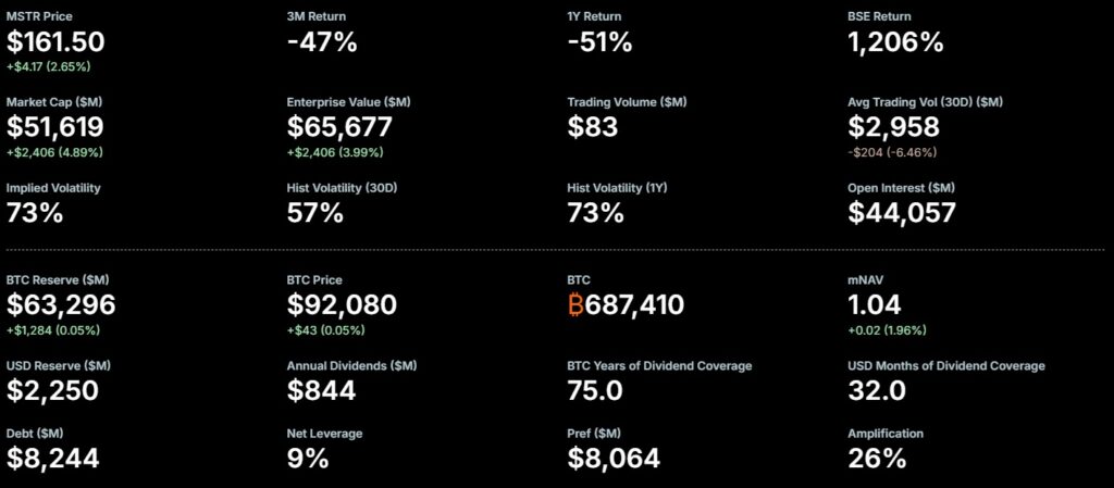 MSTR's Performance Metrics