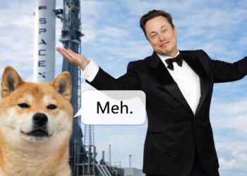 Dogecoin Moon