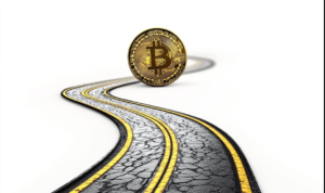 Bitcoin Price