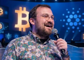 Cardano Founder Charles Hoskinson Addresses The Case Of The Missing 1,090 Bitcoin